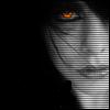 Click To View seven66