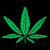 Click To View trikn