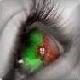 Click To View eZO