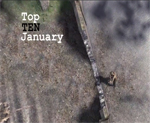 Best Frag Challenge - January