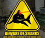 Beware of Sharks