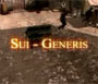 Sui: Generis