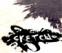 Click to View Sketch (COD4)