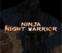 Ninja Night Warriors