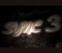 Click to View Sync 3 (CS)