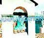 Amplification