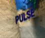 Pulse