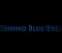 Click to View Behind Blue Eyes - Trailer (CSS)