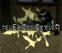 Click to View nevEr Odd Or eveN (CSS)
