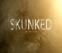 Click to View SkunkeD - Trailer (CSS)
