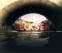 Click to View Beckser - The Movie (DODS)