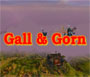 Gall & Gorn Arena 2 on 2