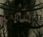 The Scarlet Thorn